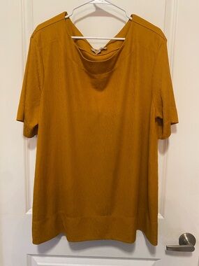 Misia Short-Sleeve Top in Mustard Gold